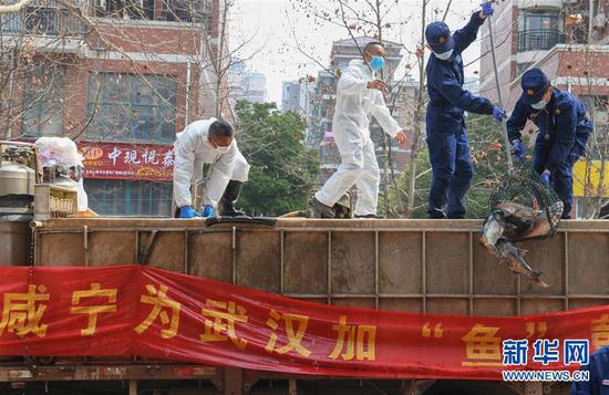 3月13日，一批運到湖北省武漢市硚口區(qū)華生漢口城市廣場社區(qū)的活魚在卸貨。當日，首批100噸調配自咸寧市的活魚運抵武漢市硚口區(qū)11個街道下轄社區(qū)。 新華社記者 程敏 攝